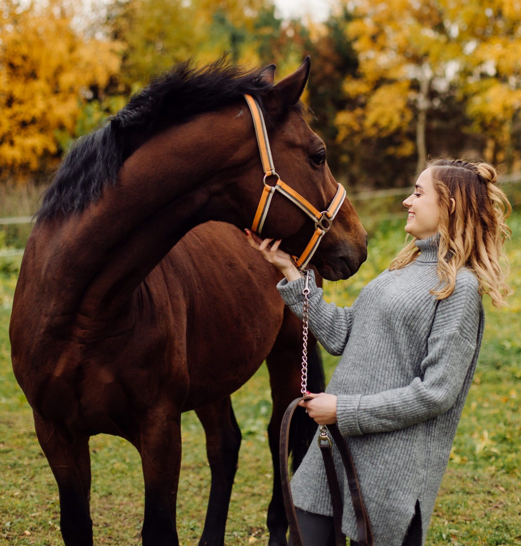 Woman on a horse at rancho. Horse riding, hobby time. Concept of animals and human